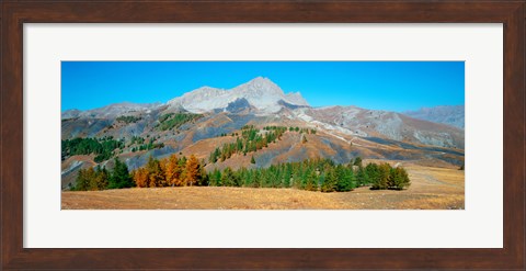 Framed Champs pass in autumn, French Riviera, Provence-Alpes-Cote d&#39;Azur, France Print