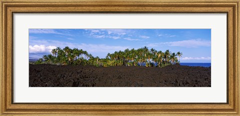 Framed Palm trees on the beach, Keawaiki Bay, Hawaii, USA Print