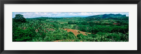 Framed Trees on a hill, Chamarel, Mauritius Island, Mauritius Print