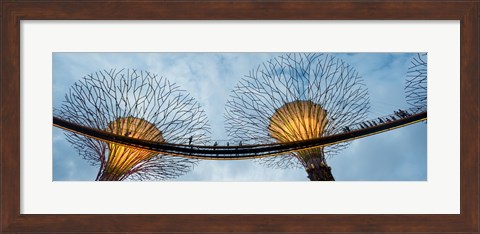 Framed Elevated walkway among Supertrees, Gardens by the Bay, Singapore Print
