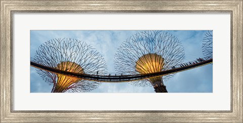 Framed Elevated walkway among Supertrees, Gardens by the Bay, Singapore Print