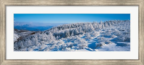 Framed Winter in Utsukushigahara Nagano Japan Print