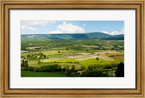 Framed High angle view of a field, Sault, Vaucluse, Provence-Alpes-Cote d&#39;Azur, France Print