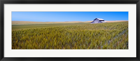 Framed Old barn in a field, Palouse County, Washington State, USA Print