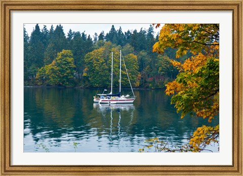 Framed Sailboats in a lake, Washington State, USA Print