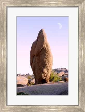 Framed Rock formations at Joshua Tree National Park, California, USA Print