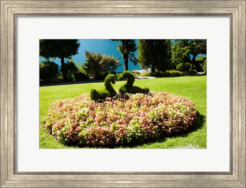 Framed Topiary and flower bed in a garden, Villa Carlotta, Tremezzo, Como, Lombardy, Italy Print
