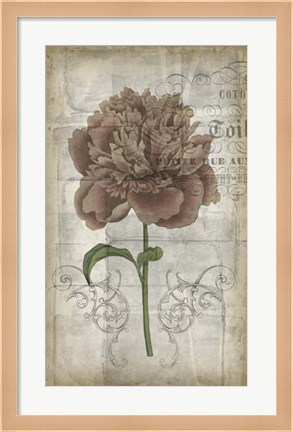 Framed French Floral IV Print