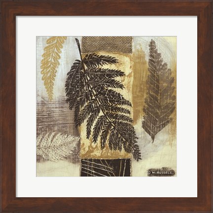 Framed Patterns of Nature III Print