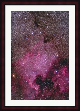 Framed NGC 7000 and the Pelican Nebula Print