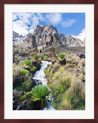 Framed Central Mount Kenya National Park, Kenya Print