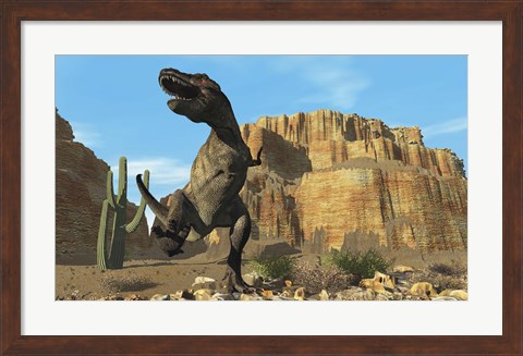 Framed T-Rex roars his defiance to all other dinosaurs in his territory Print
