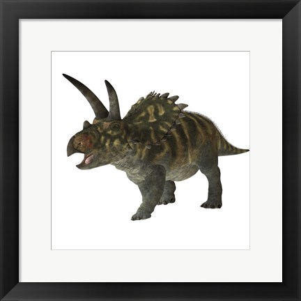 Framed Coahuilaceratops dinosaur Print