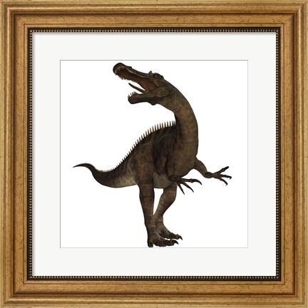 Framed Suchomimus, a large spinosaurid dinosaur Print
