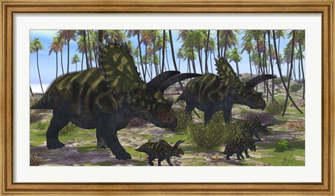 Framed Two mother Coahuilaceratops escort their baby hatchlings Print