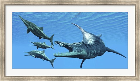 Framed Liopleurodon reptile hunting Ichthyosaurus dinosaurs in Jurassic seas Print