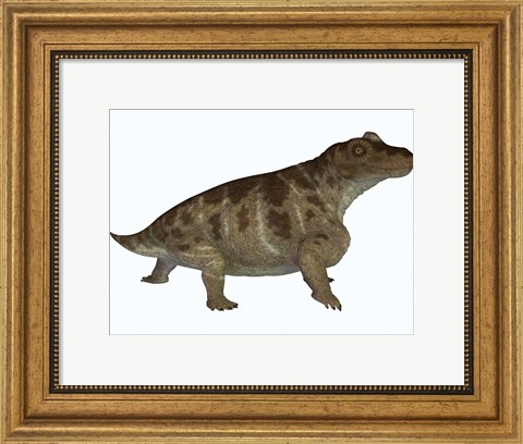 Framed Keratocephalus, a semi-aquatic dinosaur from the Permian Age Print