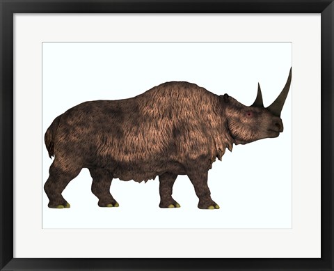 Framed Woolly Rhinoceros, an extinct mammal from the Pleistocene Period Print