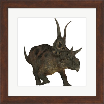 Framed Diabloceratops, a herbivorous dinosaur from the Cretaceous Period Print