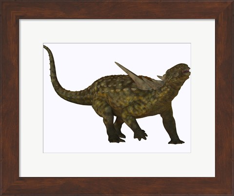 Framed Sauropelta, a herbivorous dinosaur from the Cretaceous Period Print