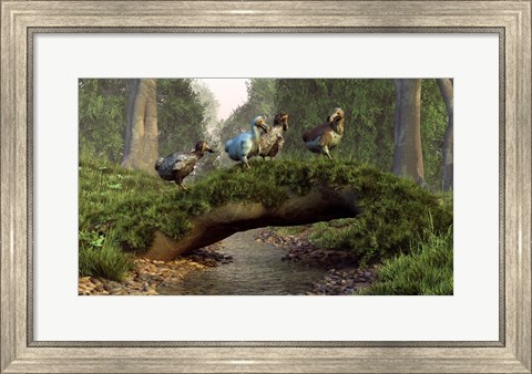 Framed group of Dodo birds crossing a natural bridge over a stream Print
