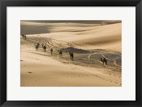 Framed MOROCCO, Tafilalt, Camel Caravan, Erg Chebbi Dunes Print