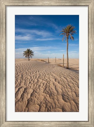Framed Great Dune and Palm Trees, Tunisia Print
