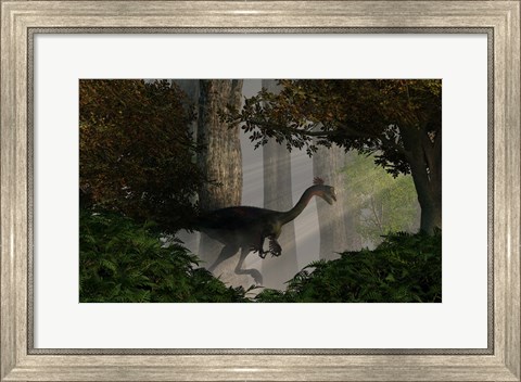 Framed Gigantoraptor in a dense prehistoric forest Print