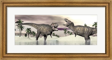 Framed Two Tyrannosaurus rex dinosaurs fighting in the water Print