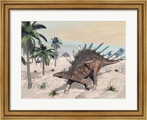 Framed Kentrosaurus dinosaurs walking in the desert among palm trees Print