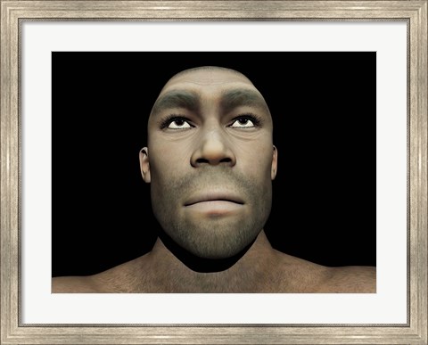 Framed Portrait of a male Homo Erectus Print