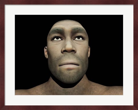 Framed Portrait of a male Homo Erectus Print