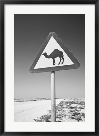 Framed Qatar, Al Zubarah. Camel Crossing Sign-Road to Al-Zubarah NW Qatar Print