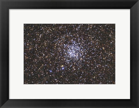 Framed Wild Duck Cluster Print