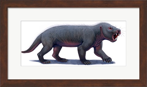 Framed Kayentatherium, a Mammal-like Tritylodont of the Jurassic Period Print
