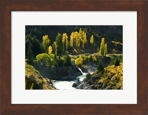 Framed Autumn Colours, Kawarau River, Kawarau Gorge, South Island, New Zealand Print