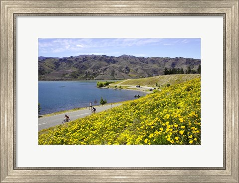 Framed Californian Poppies and Cyclists, Lake Dunstan, South Island, New Zealand Print