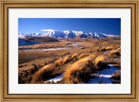 Framed Tussocks and Hawkdun Range, Central Otago, New Zealand Print