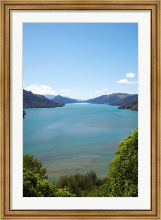 Framed Mahakipawa Arm, South Island, New Zealand Print