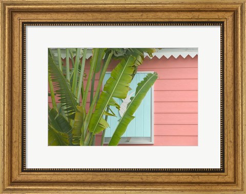 Framed Palm and Pineapple Shutters Detail, Great Abaco Island, Bahamas Print