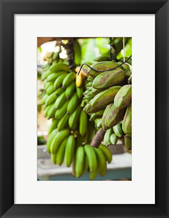 Framed Cuba, Vinales, El Jardin de Caridad, Bananas Print