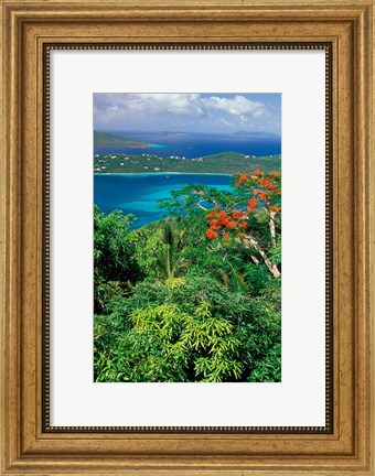 Framed Magens Bay, St Thomas, Caribbean Print