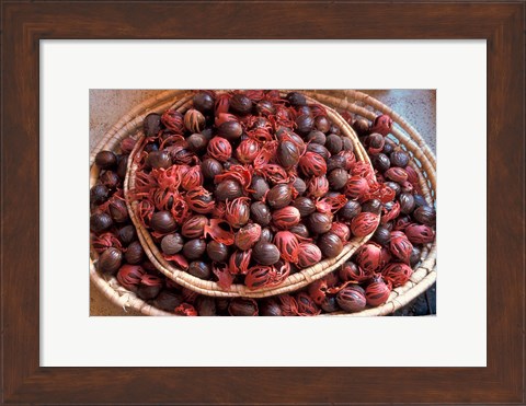 Framed Nutmeg in Public Market, Castries, Caribbean Print