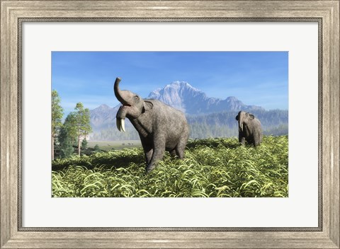 Framed Deinotherium traverse the rolling plains of what is today Europe Print