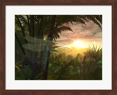 Framed Giant Meganeura with a 30-inch Wingspan Witnesses a Sunrise Print