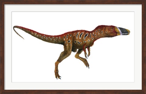 Framed Watercolor Painting of Xiongguanlong Baimoensis Print