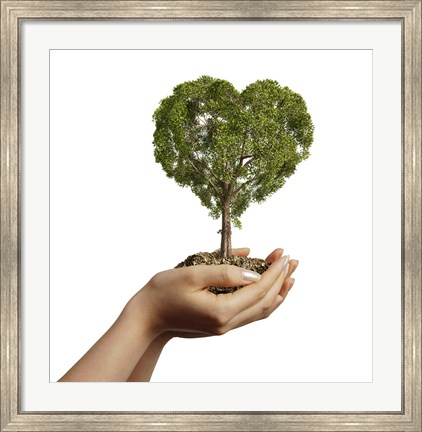 Framed Woman&#39;s Hands holding Soil with a Tree Heart Shaped Print