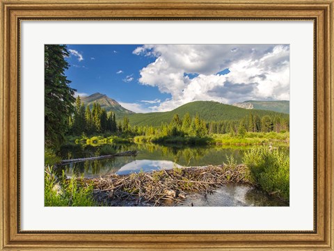 Framed Flathead River, British Columbia, Canada Print