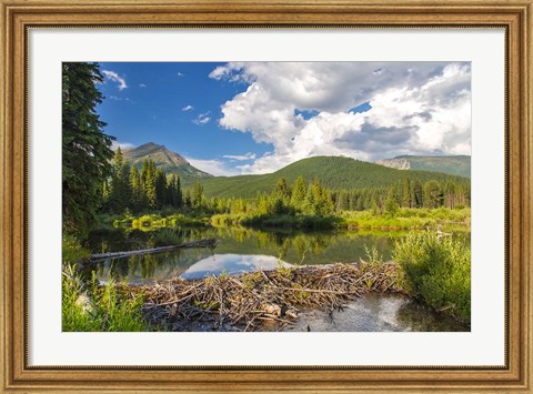 Framed Flathead River, British Columbia, Canada Print