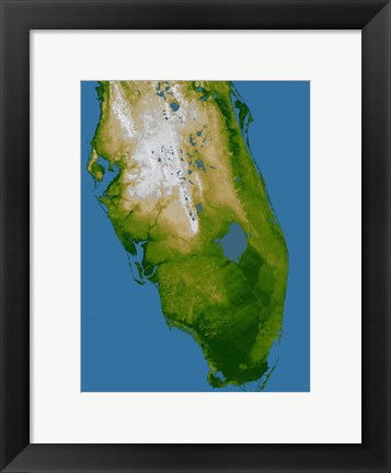 Framed Southern Florida Print